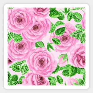 Pink watercolor roses with leaves and buds pattern Sticker